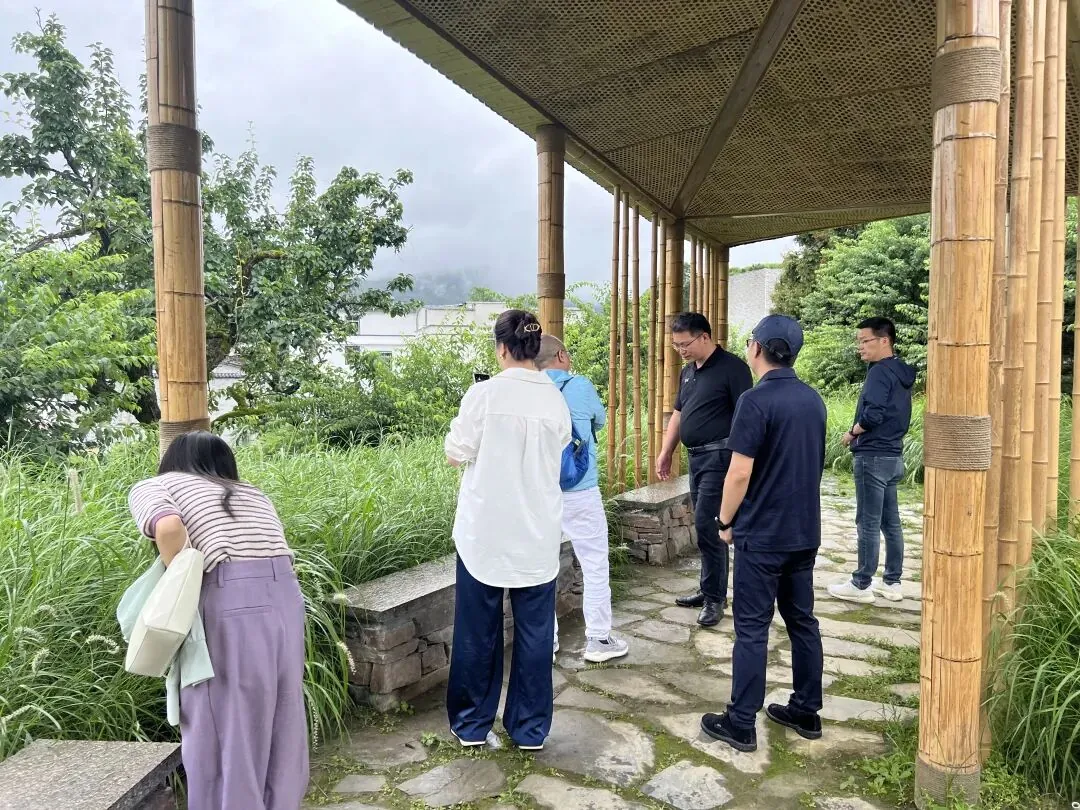 学员企业走访:走进钧明控股集团---山水双合和马安竹海项目 - 图11