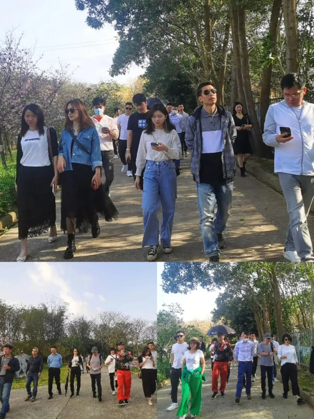 学加企业参访| “观斑斓基地,赏天适樱花” - 图13