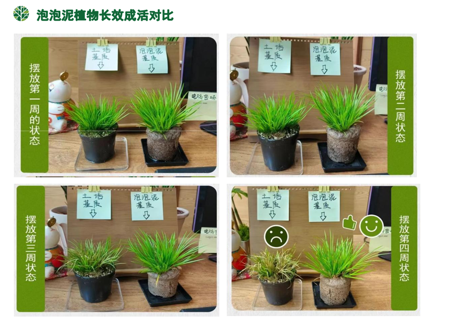 学员企业走访丨进藏身于喧闹城市中的一方隐逸天地——芬享家 - 图2