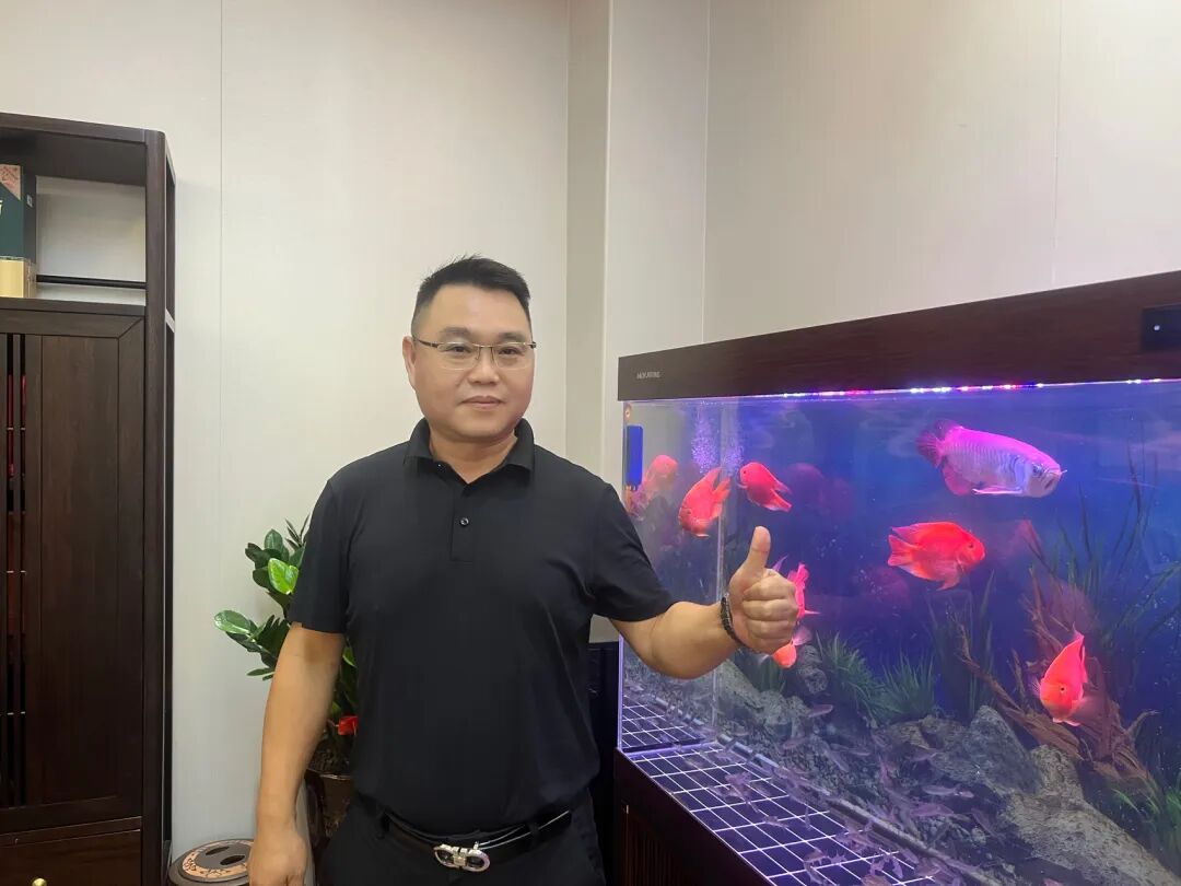 乡音未改,情谊如初——江西同窗聚会圆满落幕 - 图2