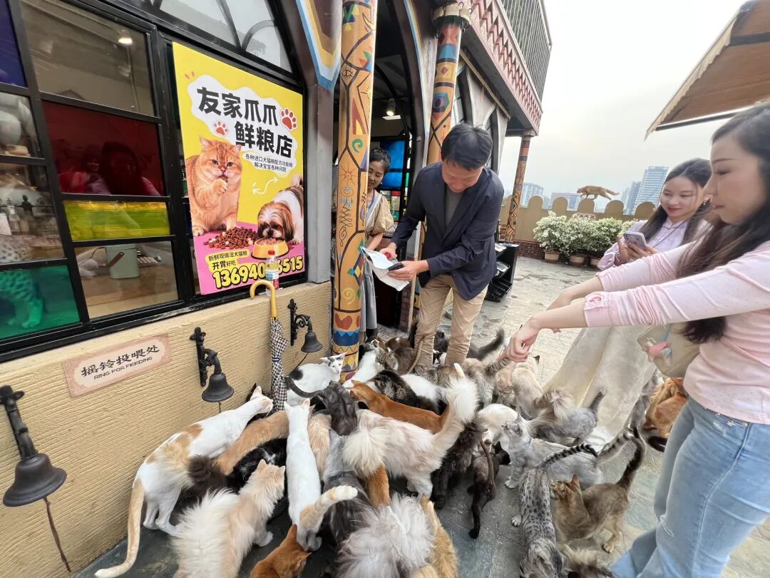 楼顶养猫,天台遛狗?广州这个“空中宠物城”火了,闲置空间还能这么玩! - 图42