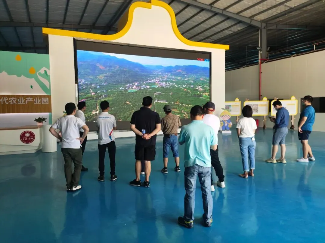 游学活动 | 走进客天下与十记果业 - 图38
