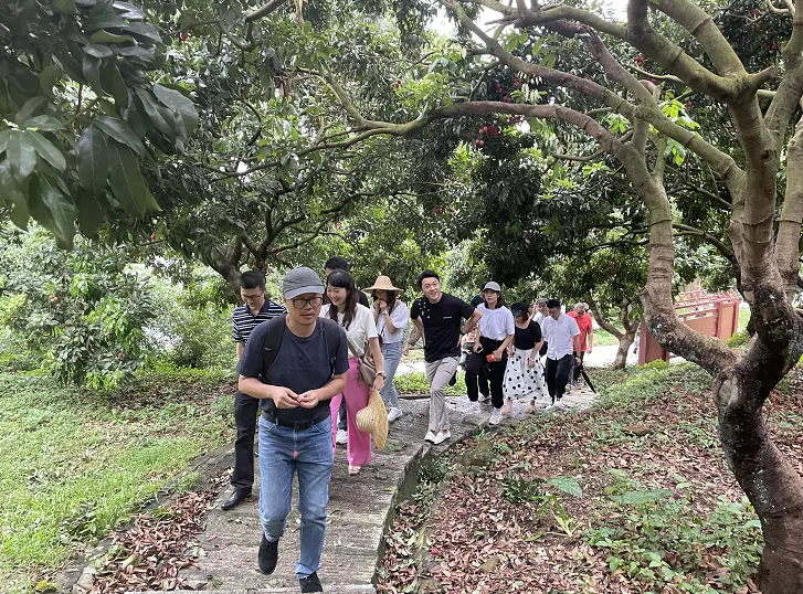 学加增城同学会活动丨听荔枝前世今生,品荔枝中的“爱马仕” - 图10