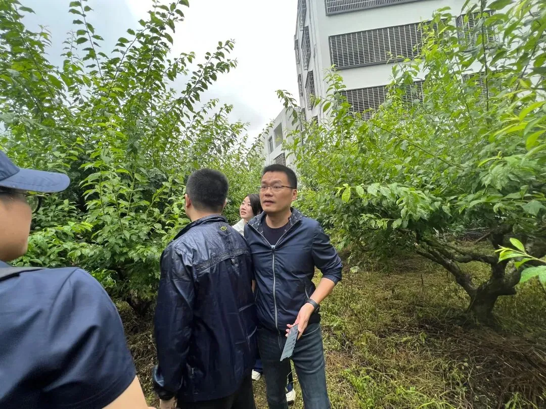 学员企业走访:走进钧明控股集团---山水双合和马安竹海项目 - 图5