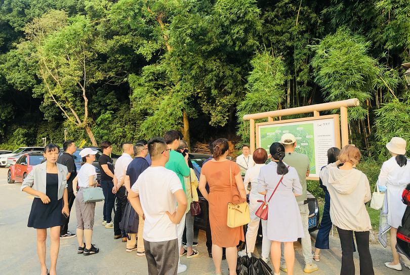 学员项目参访活动丨走进广东首批"点状供地"田园隐奢美宿项目——东方村 - 图9