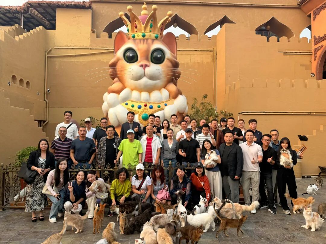 楼顶养猫,天台遛狗?广州这个“空中宠物城”火了,闲置空间还能这么玩! - 图52