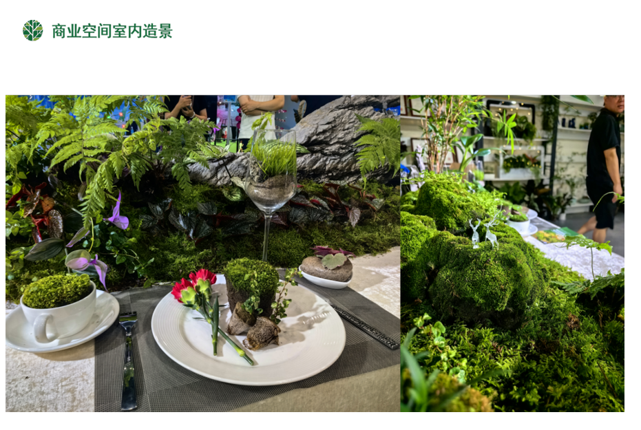 学员企业走访丨进藏身于喧闹城市中的一方隐逸天地——芬享家 - 图7