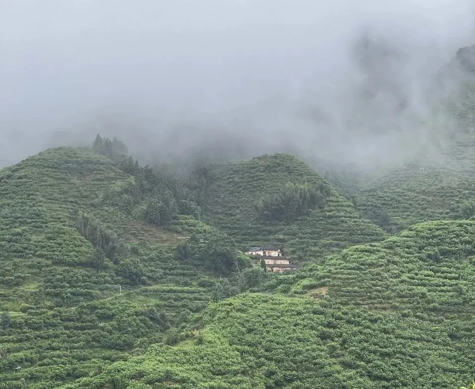 学员企业走访:走进钧明控股集团---山水双合和马安竹海项目 - 图18