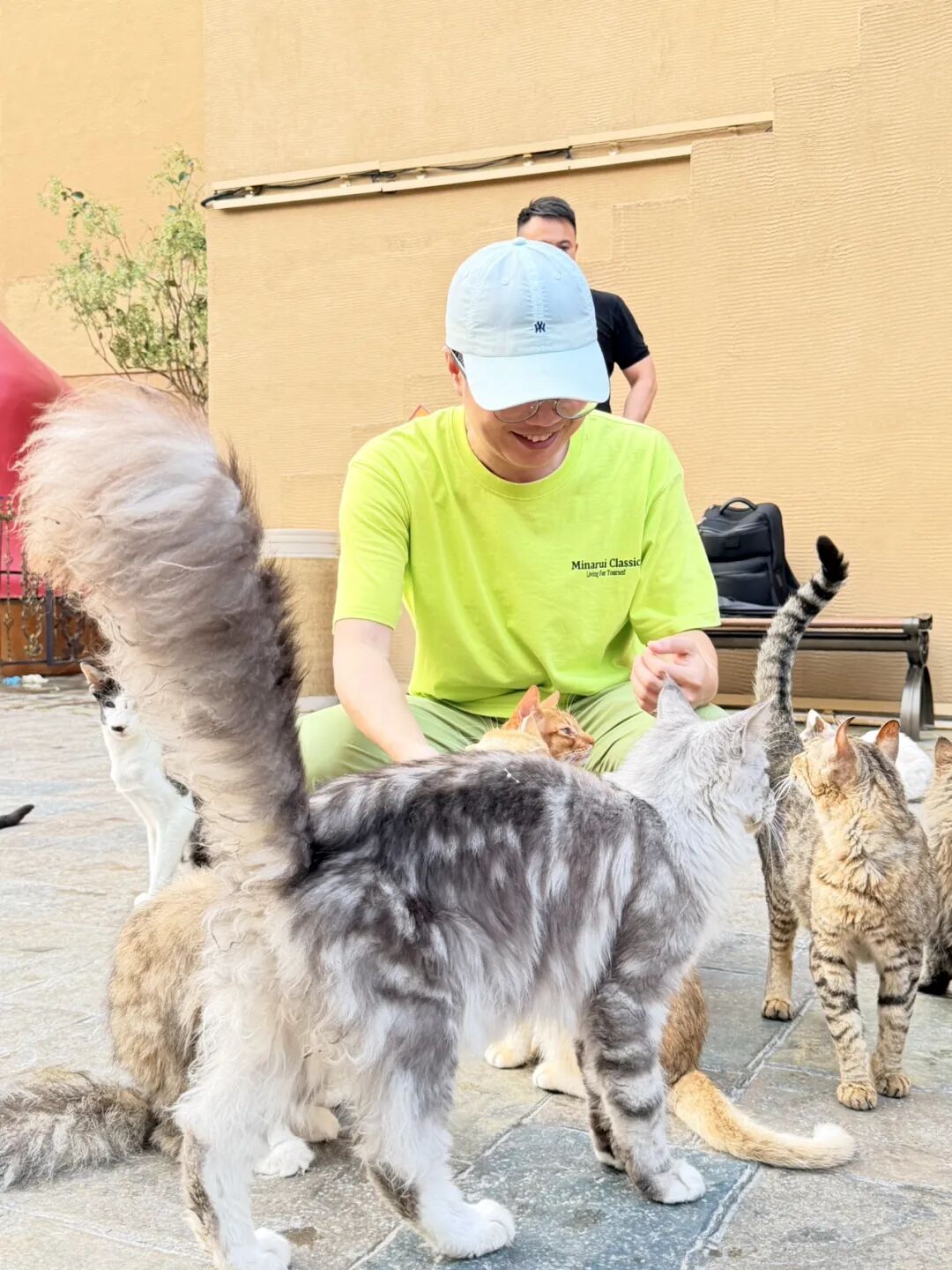楼顶养猫,天台遛狗?广州这个“空中宠物城”火了,闲置空间还能这么玩! - 图44
