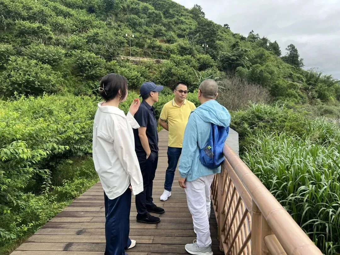学员企业走访:走进钧明控股集团---山水双合和马安竹海项目 - 图6