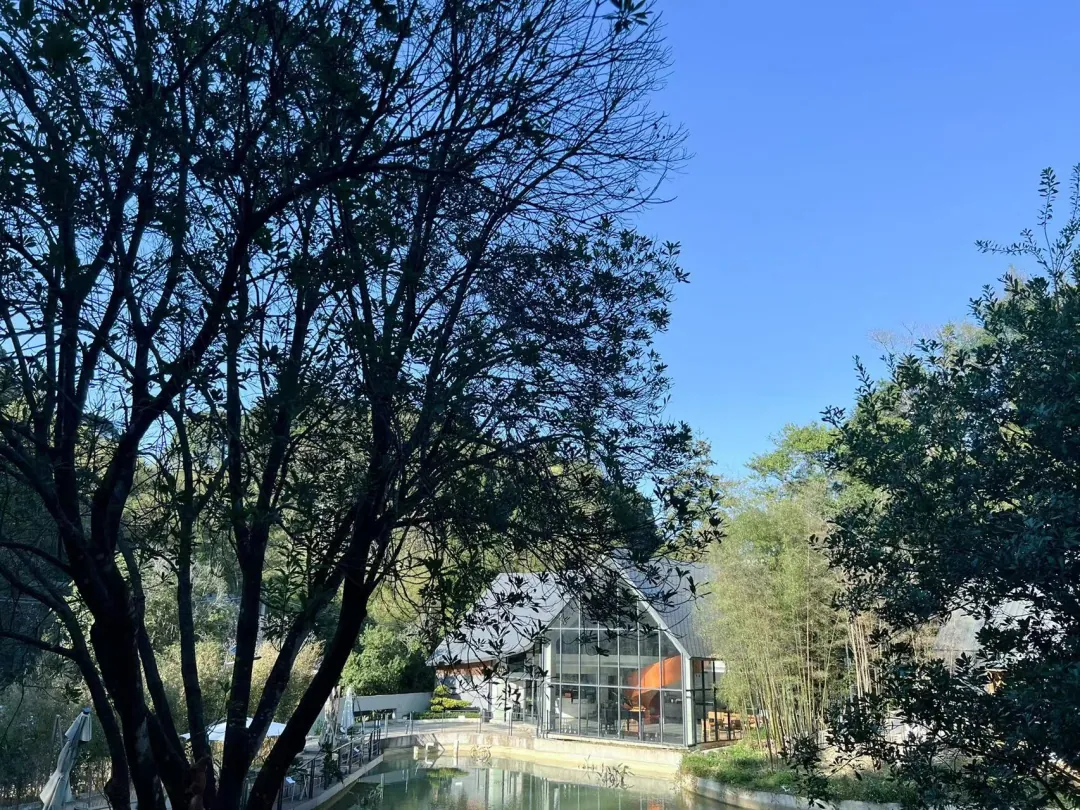 学员企业参访:走进惠州·南昆秘境,藏在森林里的童话世界 - 图2