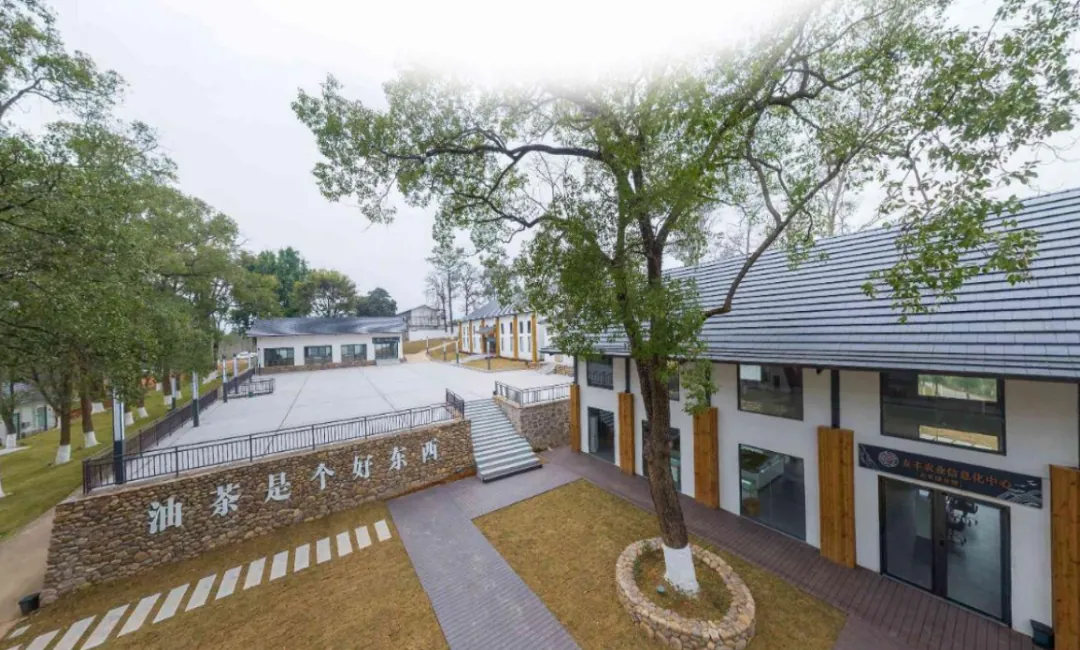项目参访丨走进韶关云门山生态风景区&友丰油茶生态园 - 图20
