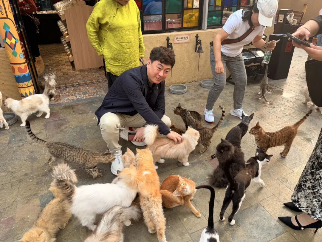 楼顶养猫,天台遛狗?广州这个“空中宠物城”火了,闲置空间还能这么玩! - 图43