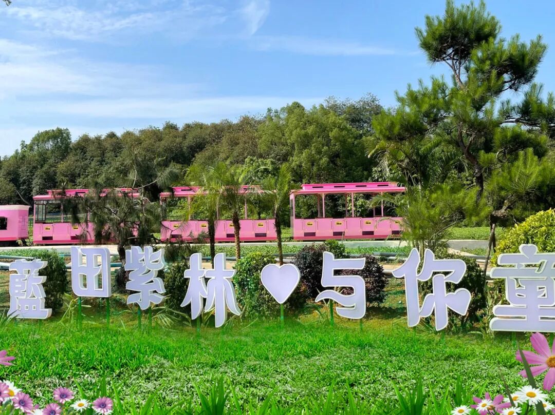 探秘广州花都TOP1研学基地背后逻辑:走进蓝田紫林,深度复盘农文旅“顶层密码” - 图11