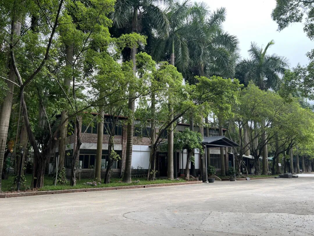 60亩荒地变身记:大佬们支招,广州这个江心岛,不卷住宿只卷“吃”! - 图5