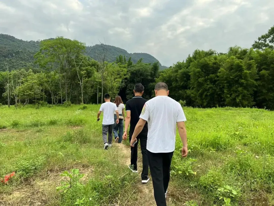 项目参访丨走进阳山岭背生态核心区 - 图13