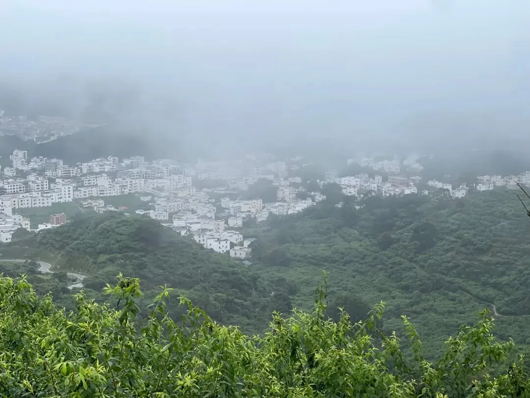 学员企业走访:走进钧明控股集团---山水双合和马安竹海项目 - 图16