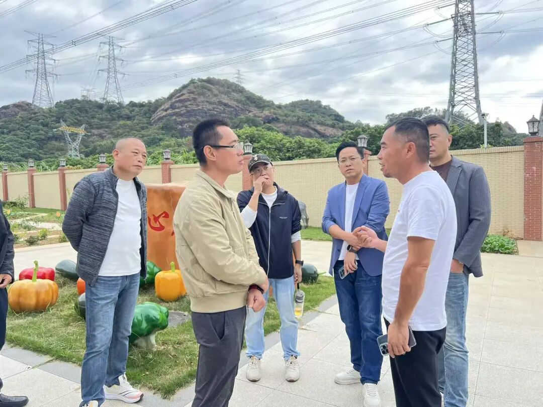项目参访 |走进广州龙涛外国语学校 - 图11