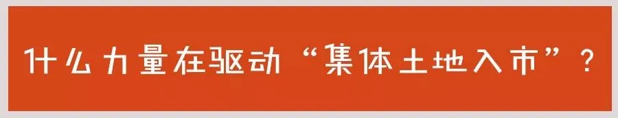 拆除违建有多少血泪? - 图13