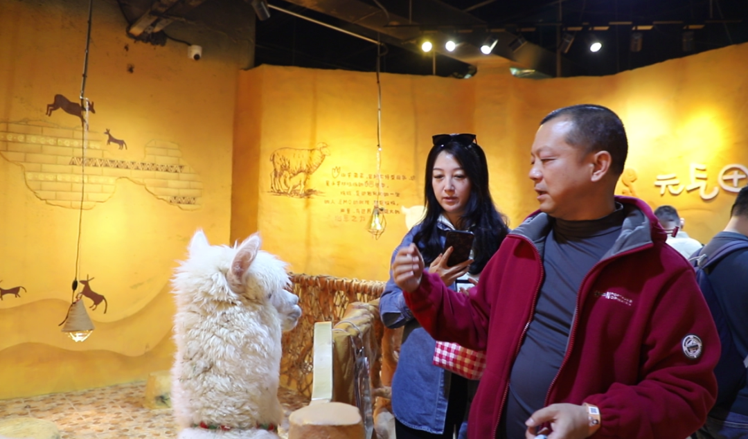 学员项目走访丨走进奇幻萌宠部落 - 图3