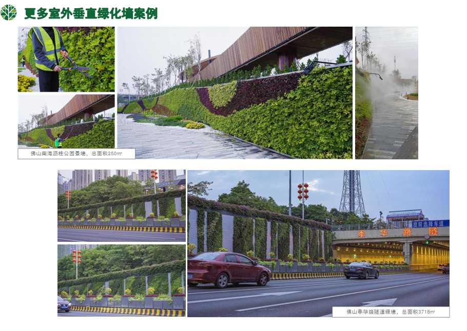 学员企业走访丨进藏身于喧闹城市中的一方隐逸天地——芬享家 - 图8