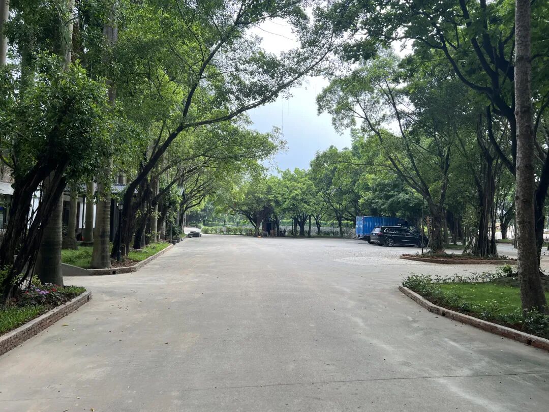 60亩荒地变身记:大佬们支招,广州这个江心岛,不卷住宿只卷“吃”! - 图6