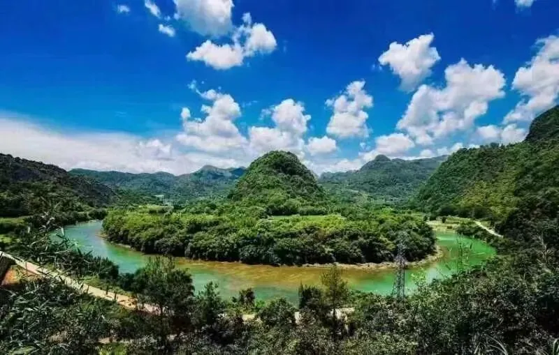 项目参访丨走进阳山岭背生态核心区 - 图14