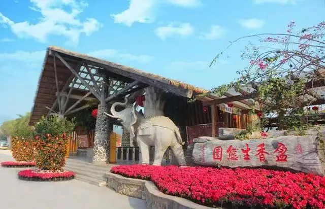 学加佛山同学会参访丨走进“网红”到“长红”的盈香生态园