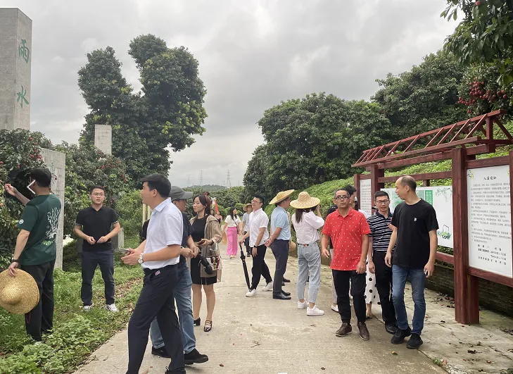 学加增城同学会活动丨听荔枝前世今生，品荔枝中的“爱马仕” - 图11