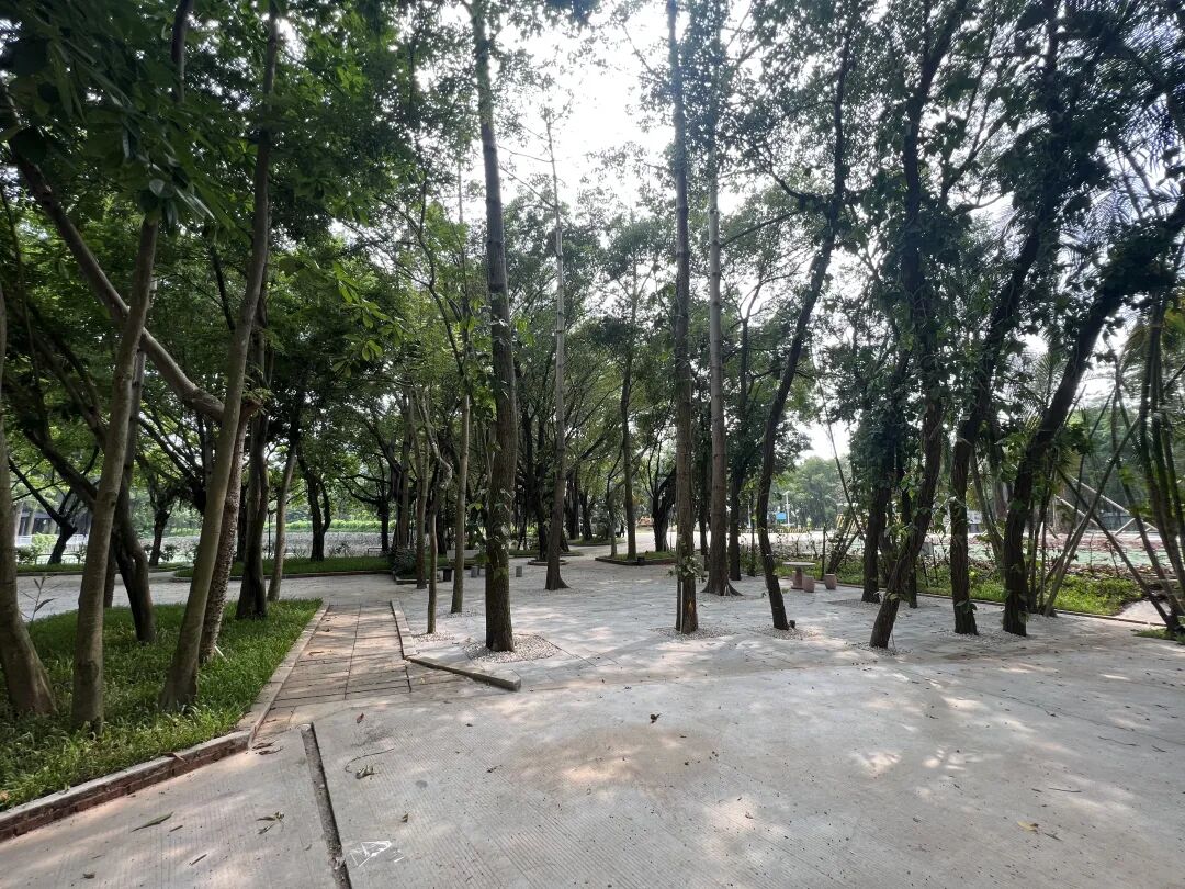 60亩荒地变身记:大佬们支招,广州这个江心岛,不卷住宿只卷“吃”! - 图7