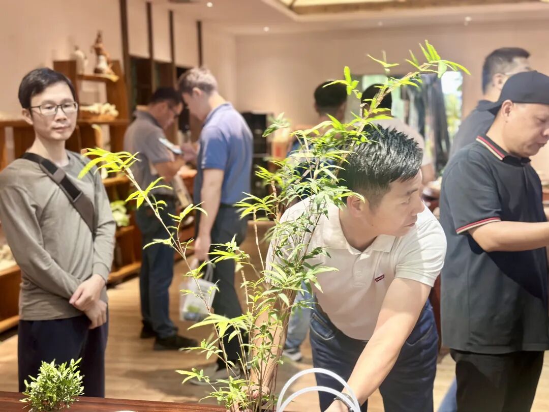 学员企业走访丨进藏身于喧闹城市中的一方隐逸天地——芬享家 - 图29