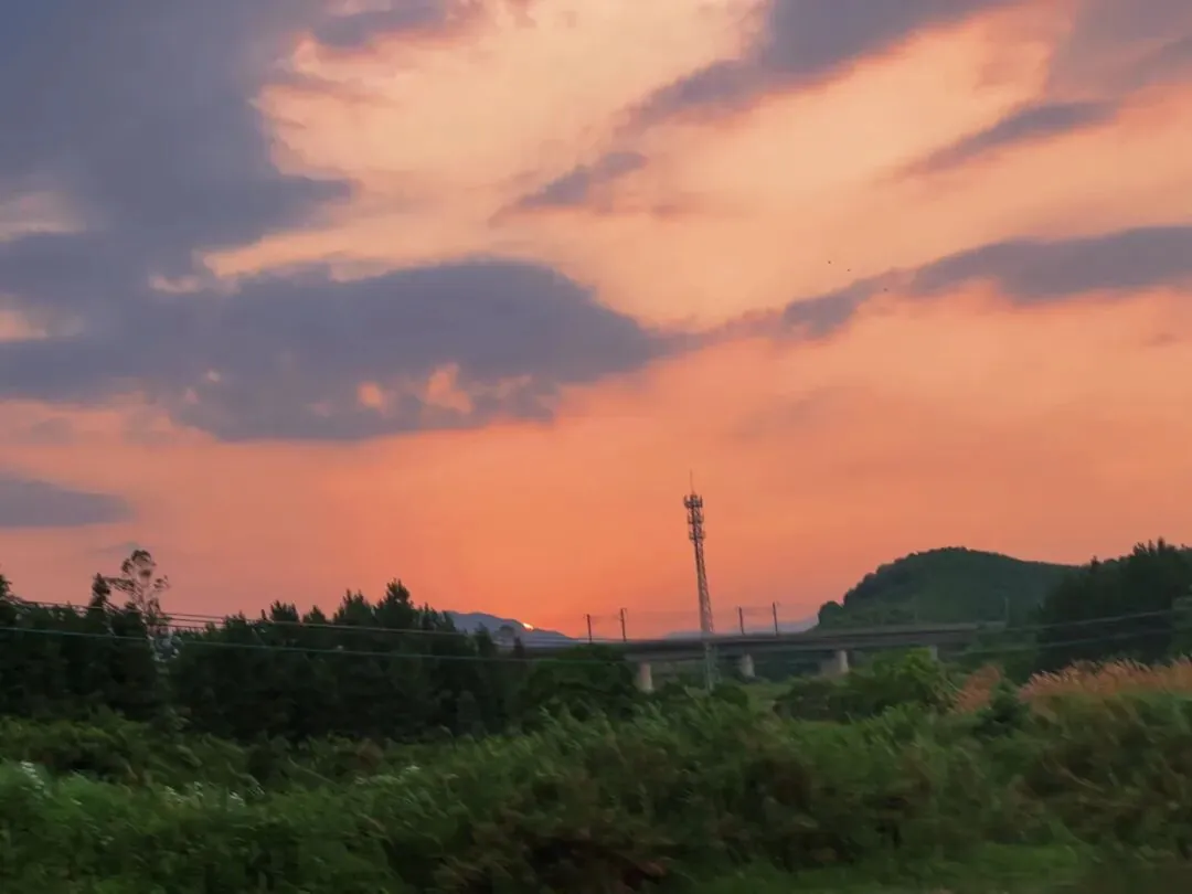 项目参访丨走进韶关云门山生态风景区&友丰油茶生态园 - 图28