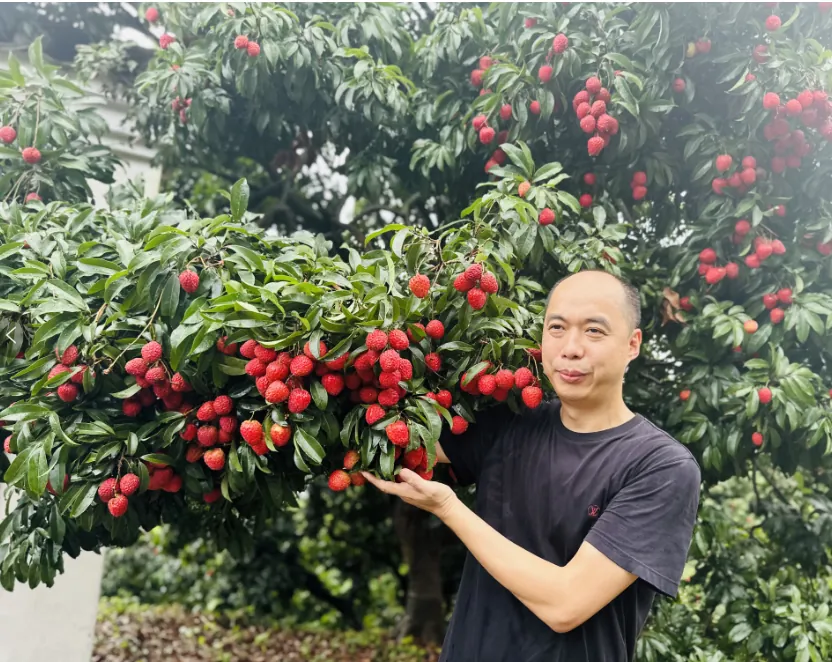 学员项目参访丨听荔枝前世今生,品荔枝中的“爱马仕” - 图23