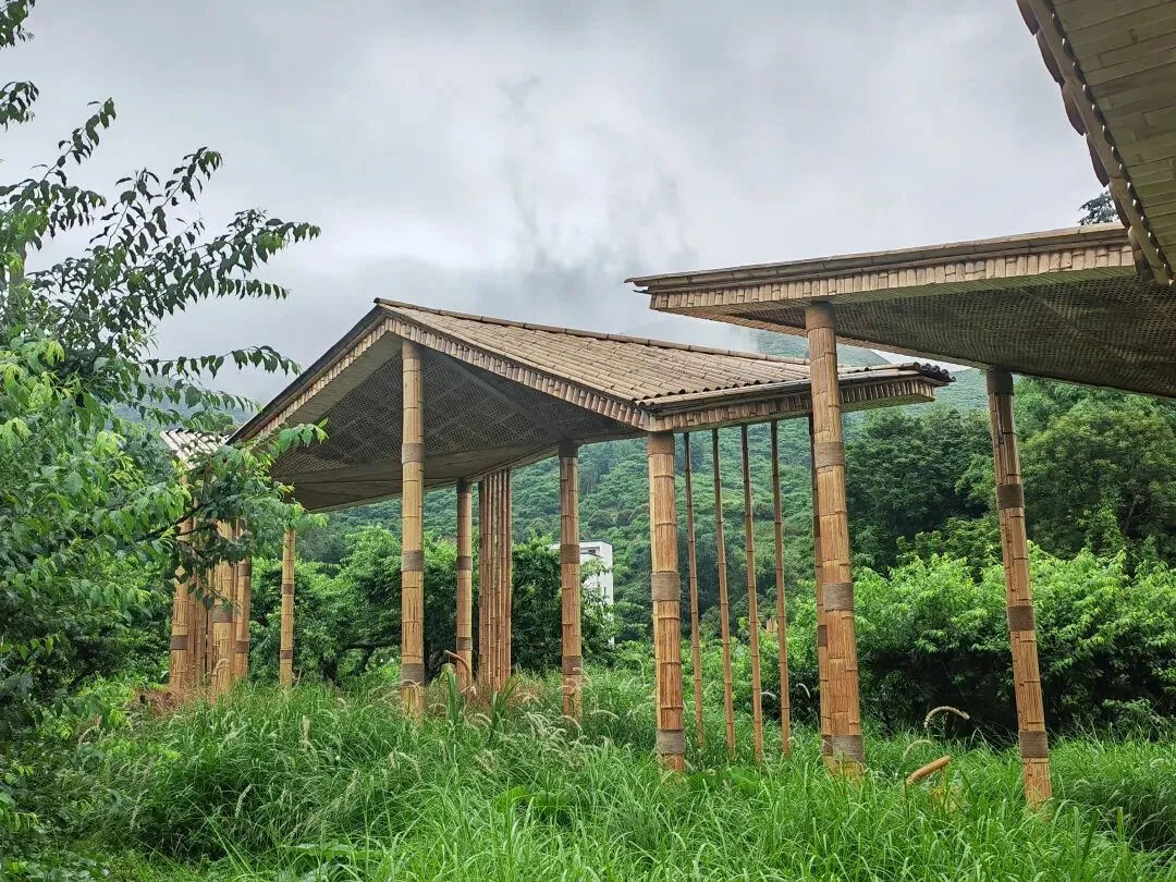 学员企业走访:走进钧明控股集团---山水双合和马安竹海项目 - 图12