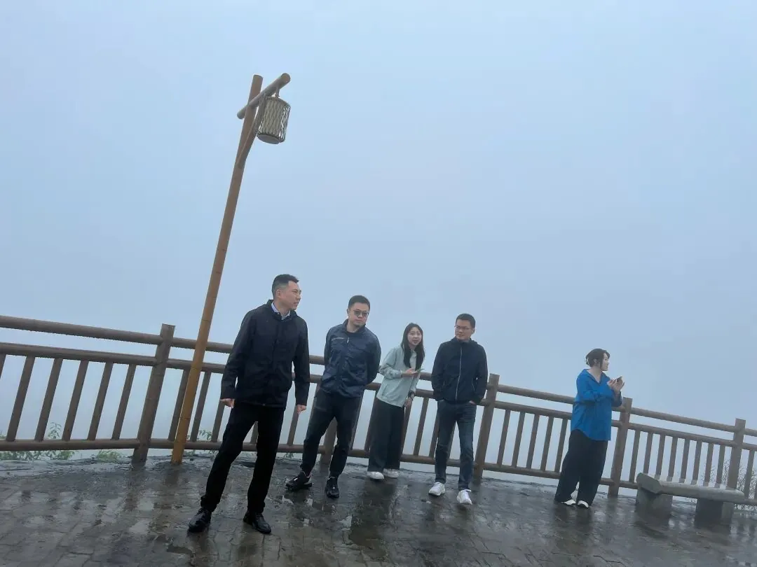 学员企业走访:走进钧明控股集团---山水双合和马安竹海项目 - 图19