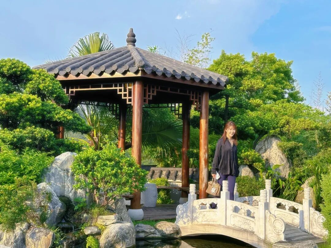 同学会活动丨学加番禺区同学会活动圆满落幕 - 图24