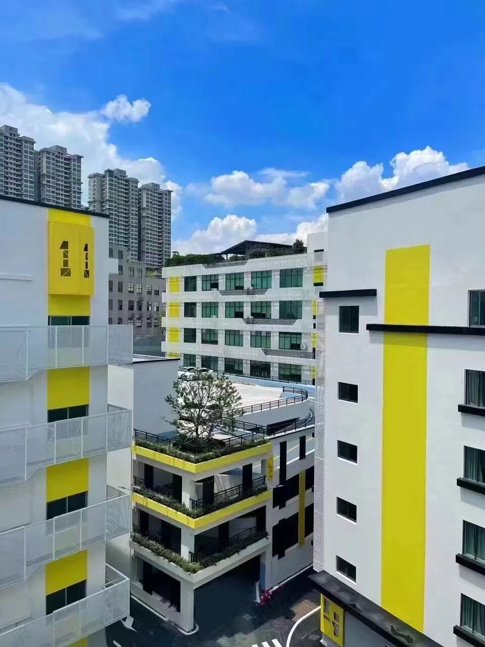 班级活动 | 走进广州市恒锋汇物业发展有限公司 - 图8