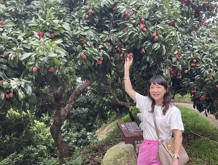 学加增城同学会活动丨听荔枝前世今生,品荔枝中的“爱马仕” - 图9
