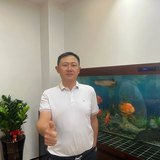 揭金恩