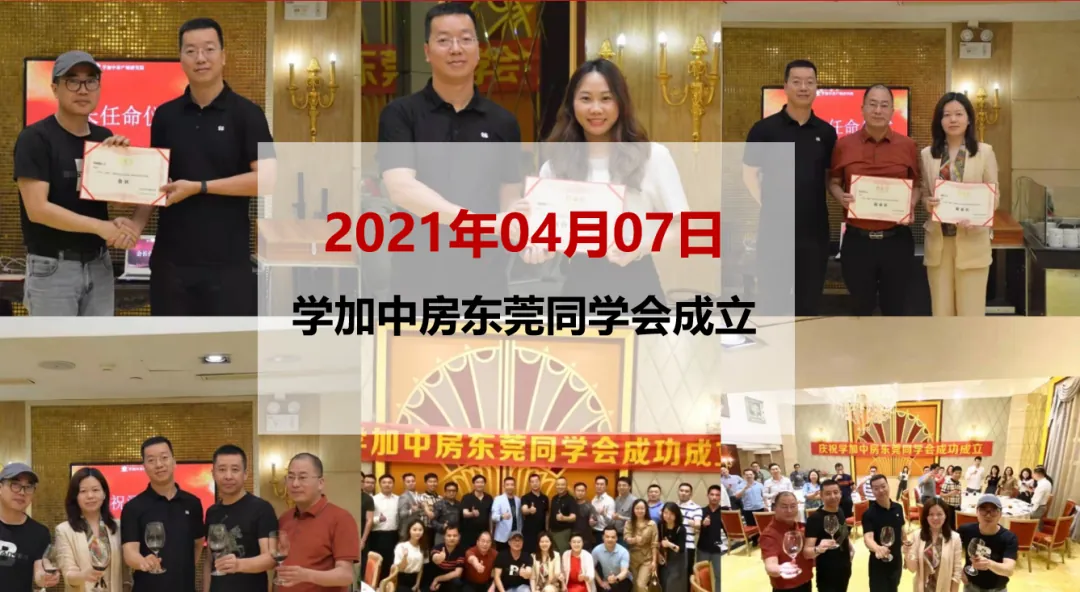 学加东莞同学会会长会议顺利召开 - 图4
