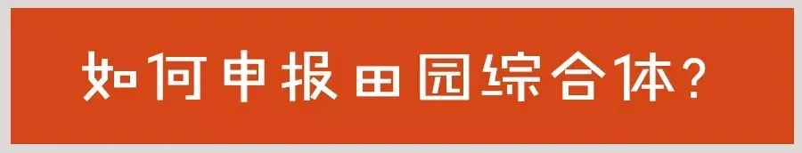 拆除违建有多少血泪? - 图11