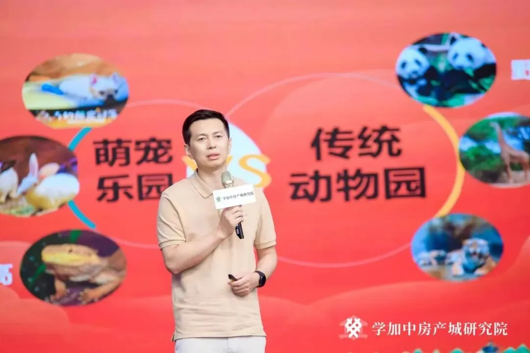 首届 “文商旅内容” 大会，成功举行！ - 图17