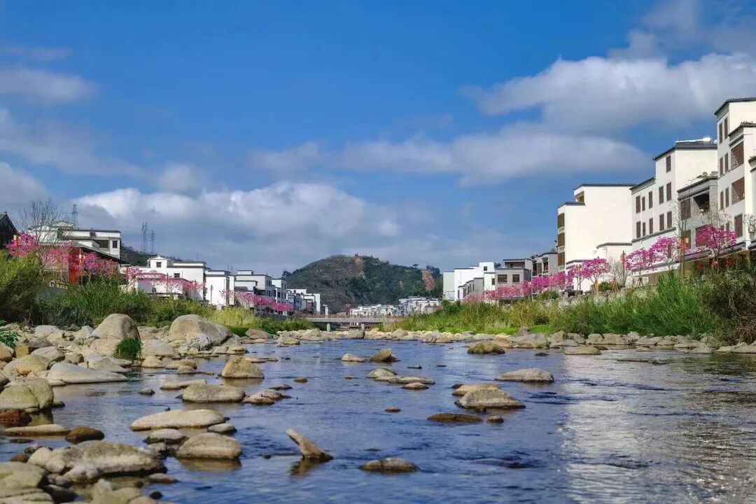 学员项目参访 | 走进广东钧明投资控股集团有限公司 - 图13