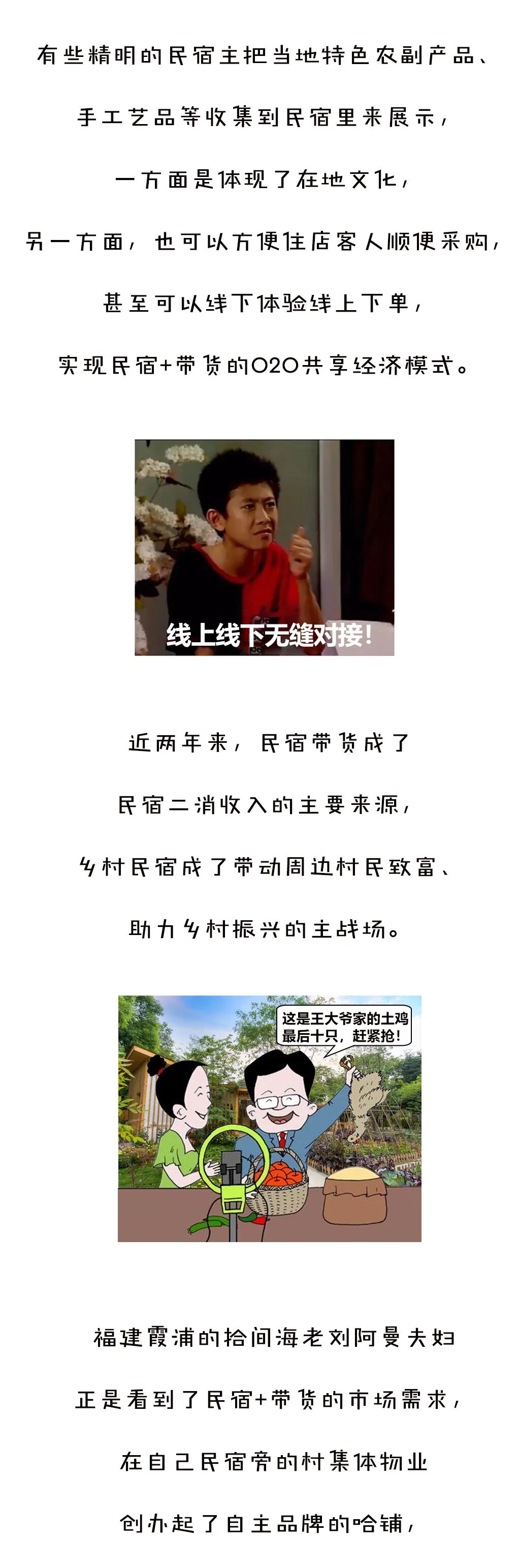 疫情搅动下的民宿业发展态势 - 图10