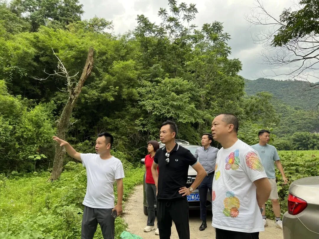 项目参访丨走进阳山岭背生态核心区 - 图12