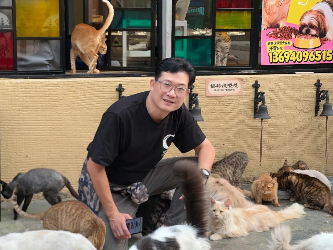 楼顶养猫,天台遛狗?广州这个“空中宠物城”火了,闲置空间还能这么玩! - 图2