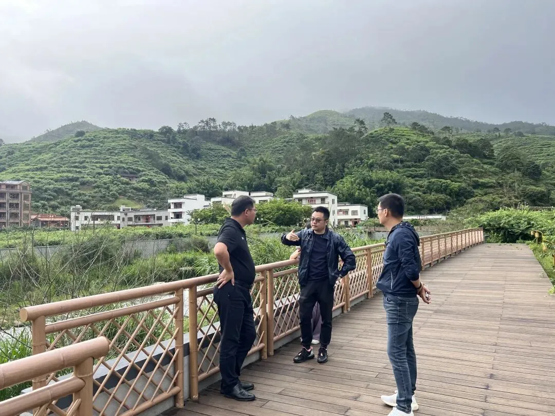 学员企业走访:走进钧明控股集团---山水双合和马安竹海项目 - 图7